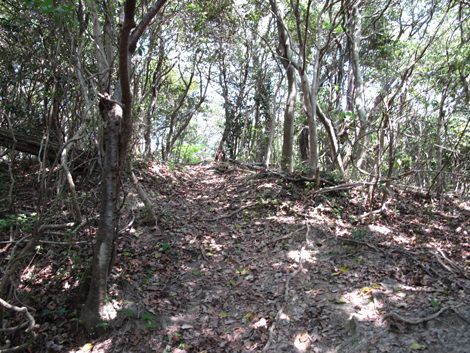 20140426hike (107)